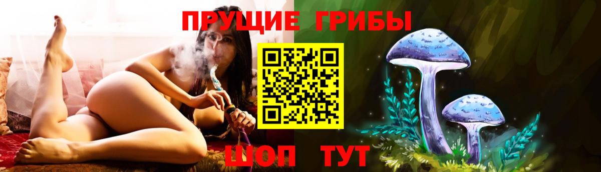 Псилоцибиновые грибы мухоморы  Псилоцибиновые грибы GOLDEN TEACHER  Вход с VPN  Трёхгорный 
